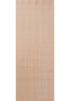 CLEARANCE - Plywood Flush FD30 Fire Door