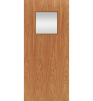 EXA5 External Clear Glazed Flush Fire Door